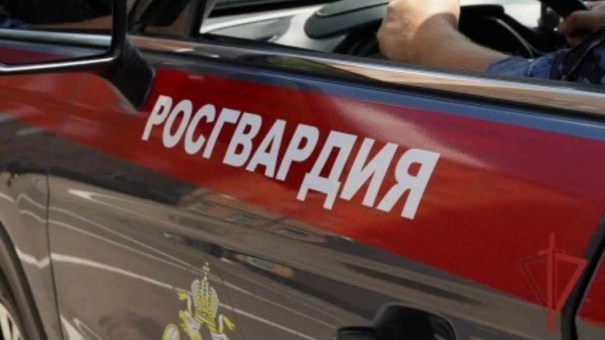 Росгвардейцы задержали кузнечанку, пристававшую к сотрудникам городской больницы
