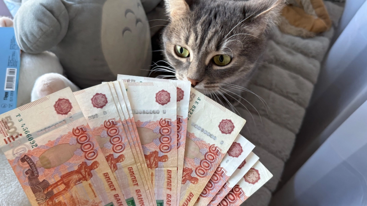 В 2026 году свыше 400 пензенских многодетных семей оформили выплату для погашения ипотеки через Госуслуги