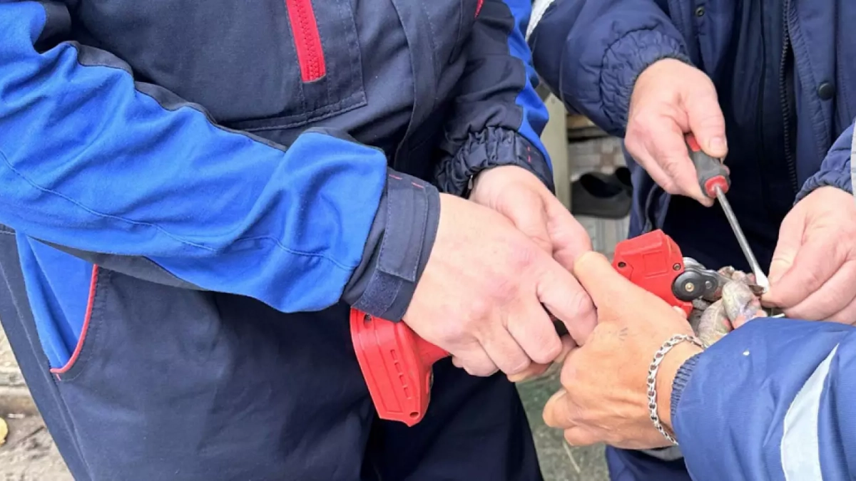 В Пензе спасатели провели операцию по вызволению женщины из садового плена