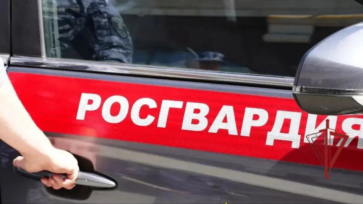 18-летний пензенец решил подраться с друзьями в ресторане быстрого питания