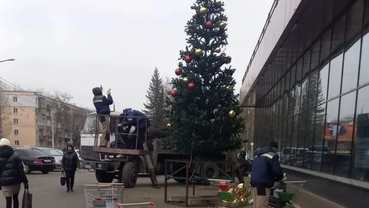 Зачем Подмосковье прямо сейчас массово скупает пензенские елки