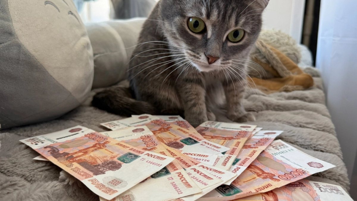 Кузнечанка, обманутая мошенниками, перевела на «безопасный счет» 5,5 млн рублей