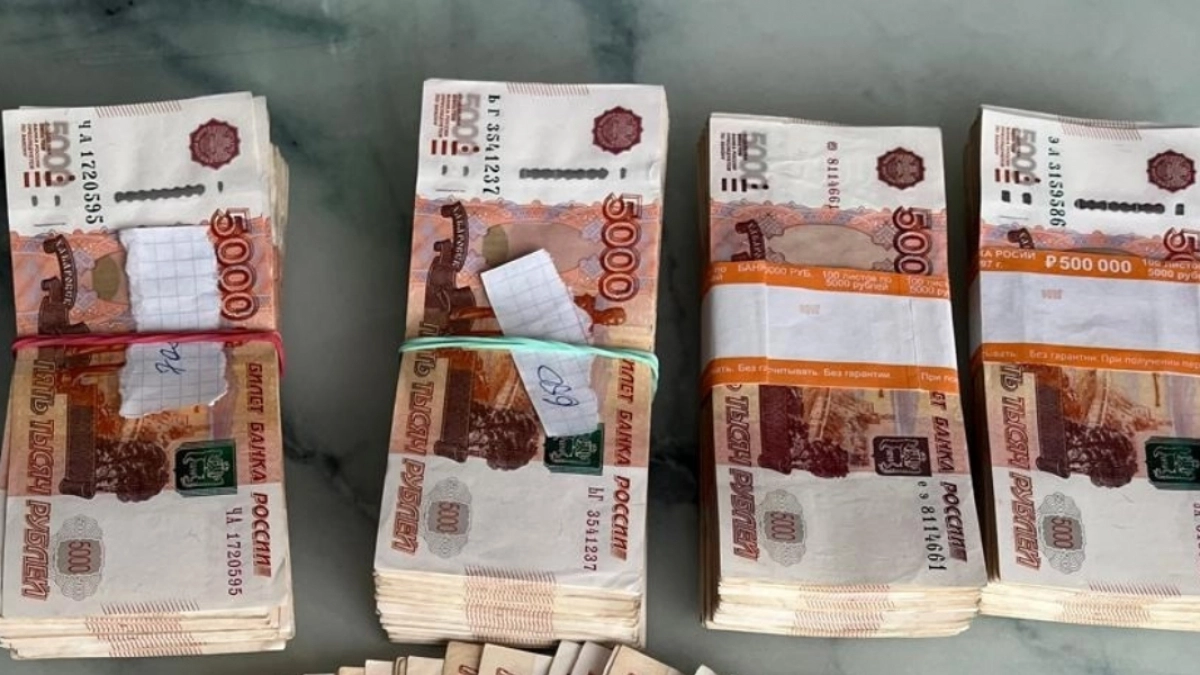 Мошенники под видом «спасения сбережений» украли у жительницы Лунинского района 4,5 млн рублей