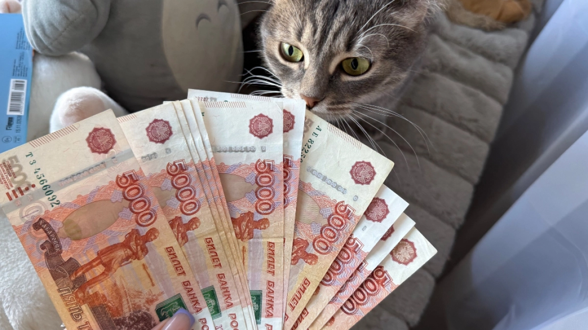 Жительнице Неверкинского района грозит уголовное наказание за хищение соцвыплат
