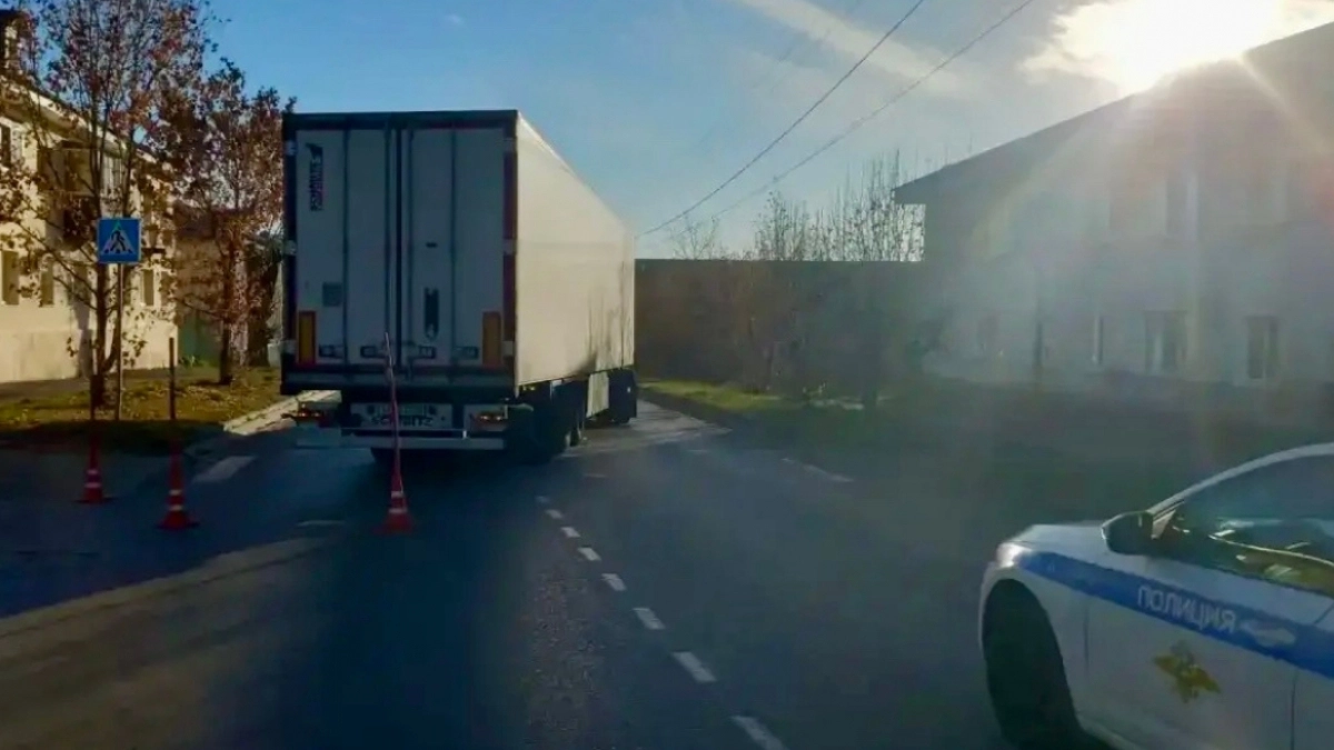 В Нижнеломовском районе устанавливают обстоятельства ДТП, в результате которого погибла женщина