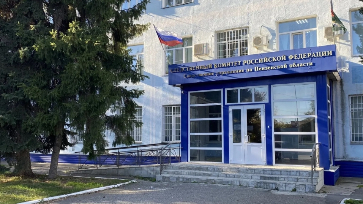 Пензячку, ударившую сотрудника полиции, оштрафовали на 80 тыс. рублей