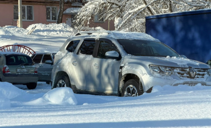 Наказание пензячки, автомобиль которой перекрыл проезд к мусорному контейнеру, не изменили