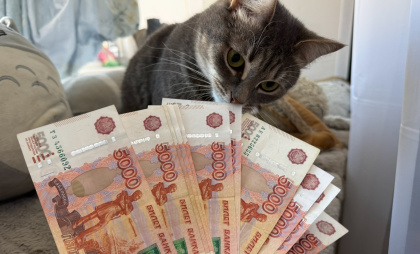 Деньги любят тишину и Пензу: стало известно, кто в городе получает более 140 тысяч рублей