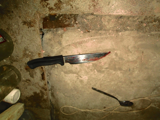 Взяла нож на кухне: жительницу Пензенской области обвиняют в убийстве возлюбленного