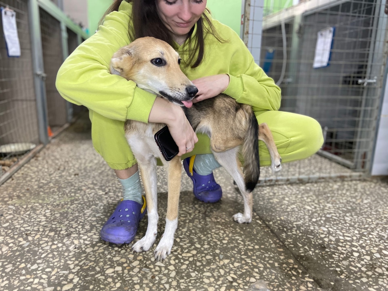 Привязали и оставили: в Пензе местные жители спасли собаку от голода и холода