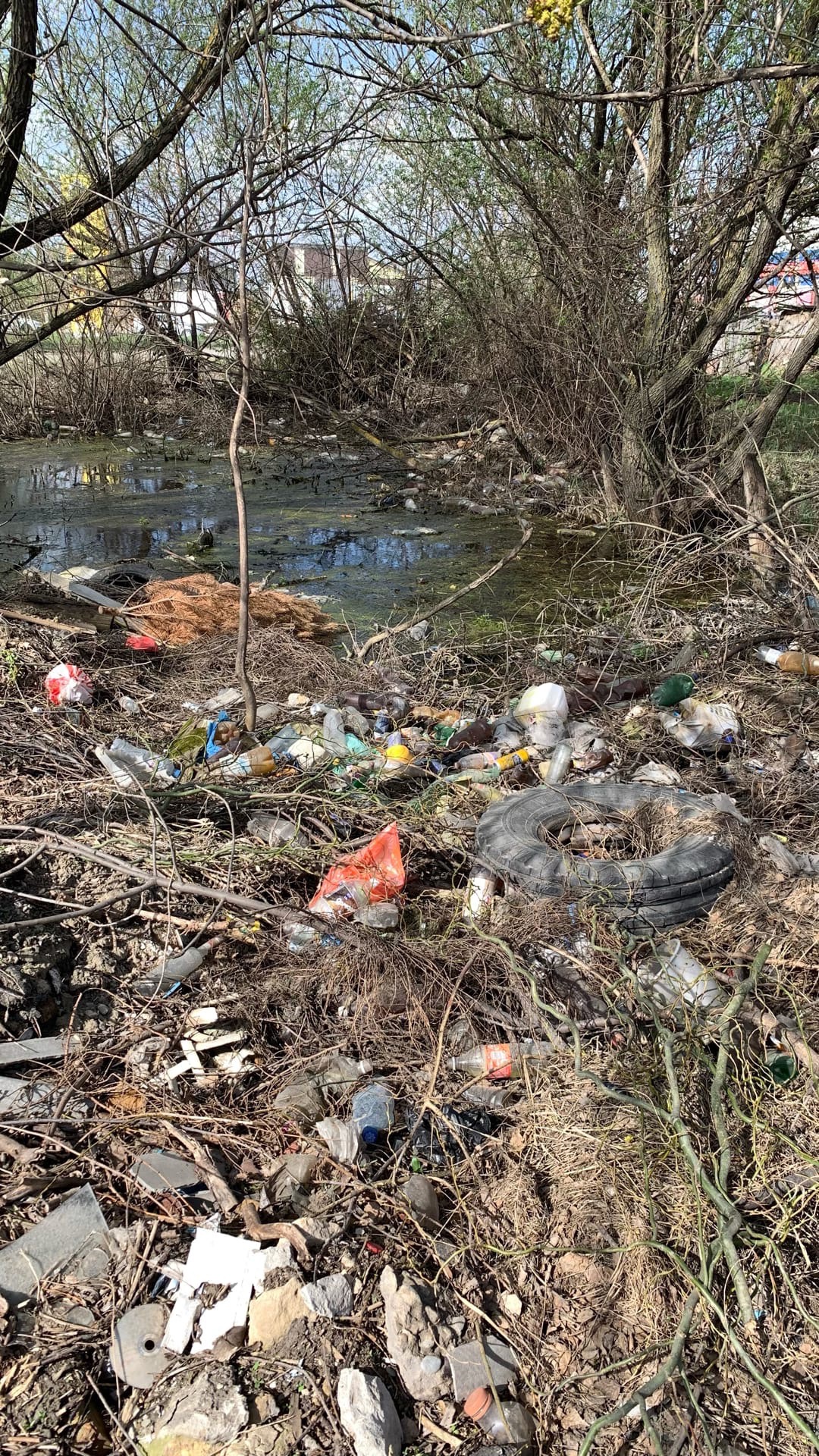  Горы мусора и болото: пензячка пожаловалсь на свалку в городе