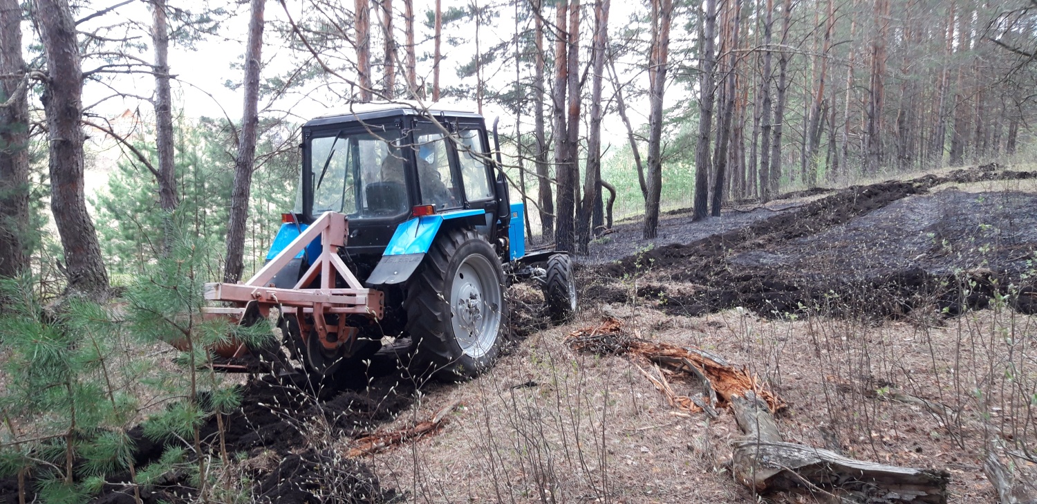 В Пензенской области 2 раза горели леса