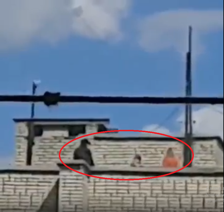 Школьники устроили фотосессию на крыше дома в Заречном