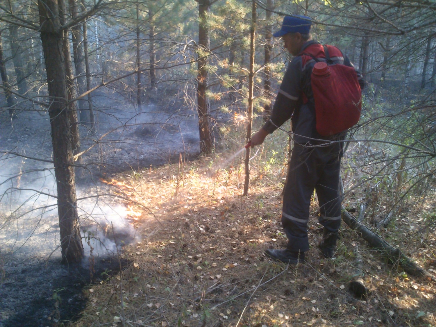 На охрану леса от пожаров в Пензенской области выделили более 17 миллионов рублей