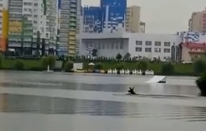 Пензенец снял на видео, как лось переплыл озеро в Спутнике 