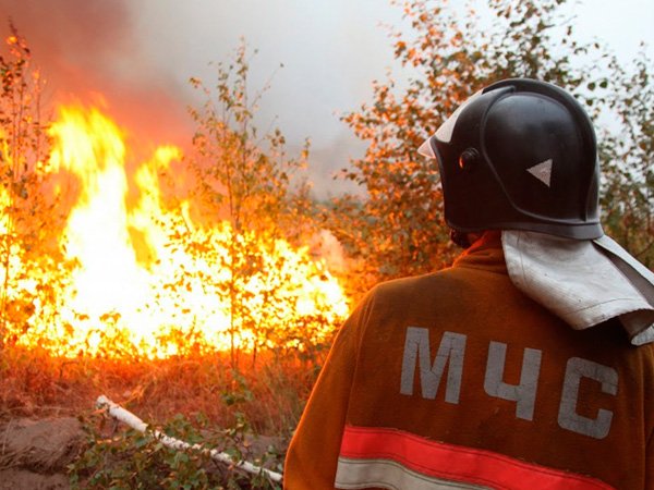Пензенские огнеборцы потушили 11 лесных пожаров в регионе