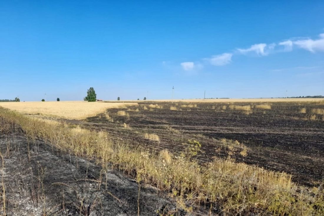В Белинском районе выгорело пшеничное поле