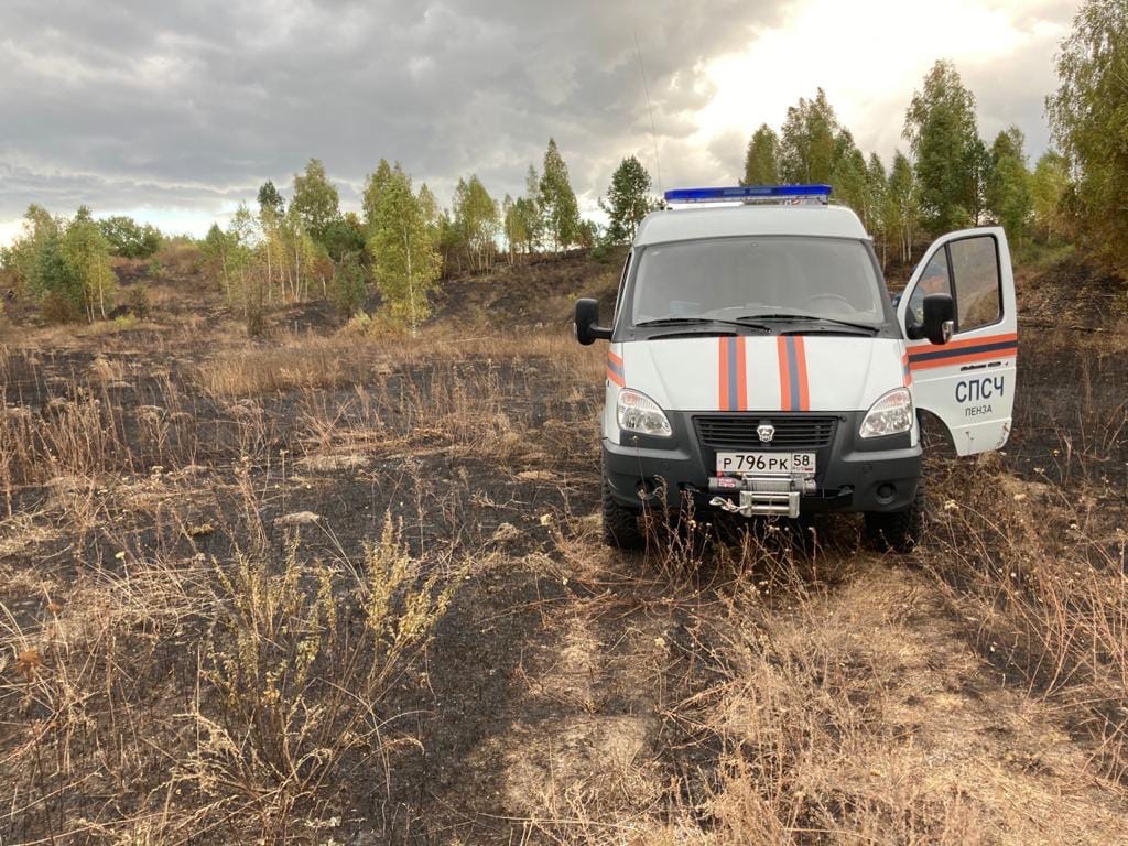 В Сердобском районе огонь уничтожил урожай на поле площадью 20 гектар 