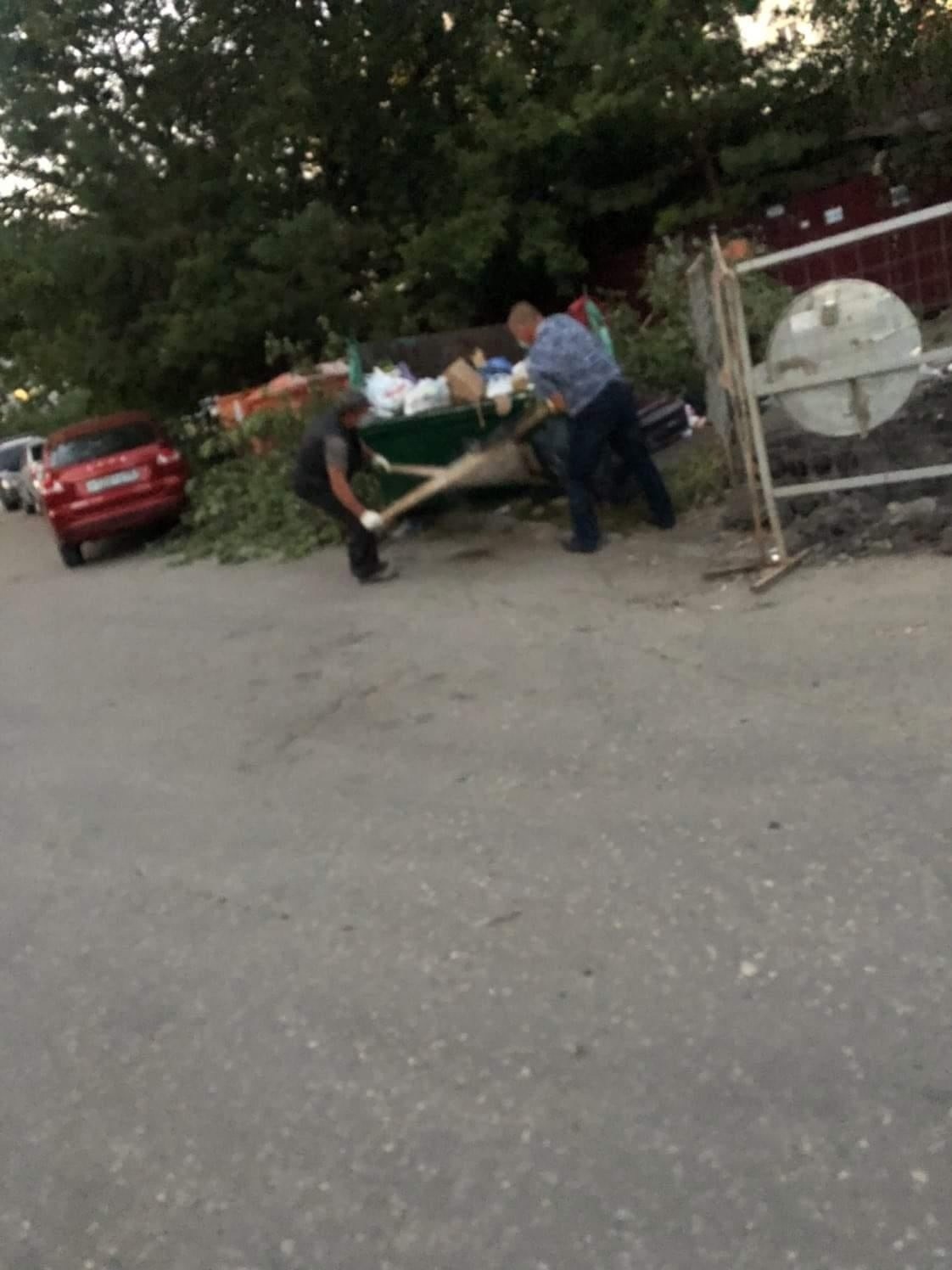 В Пензе в мусорный контейнер на Ладожской выбросили мертвое животное
