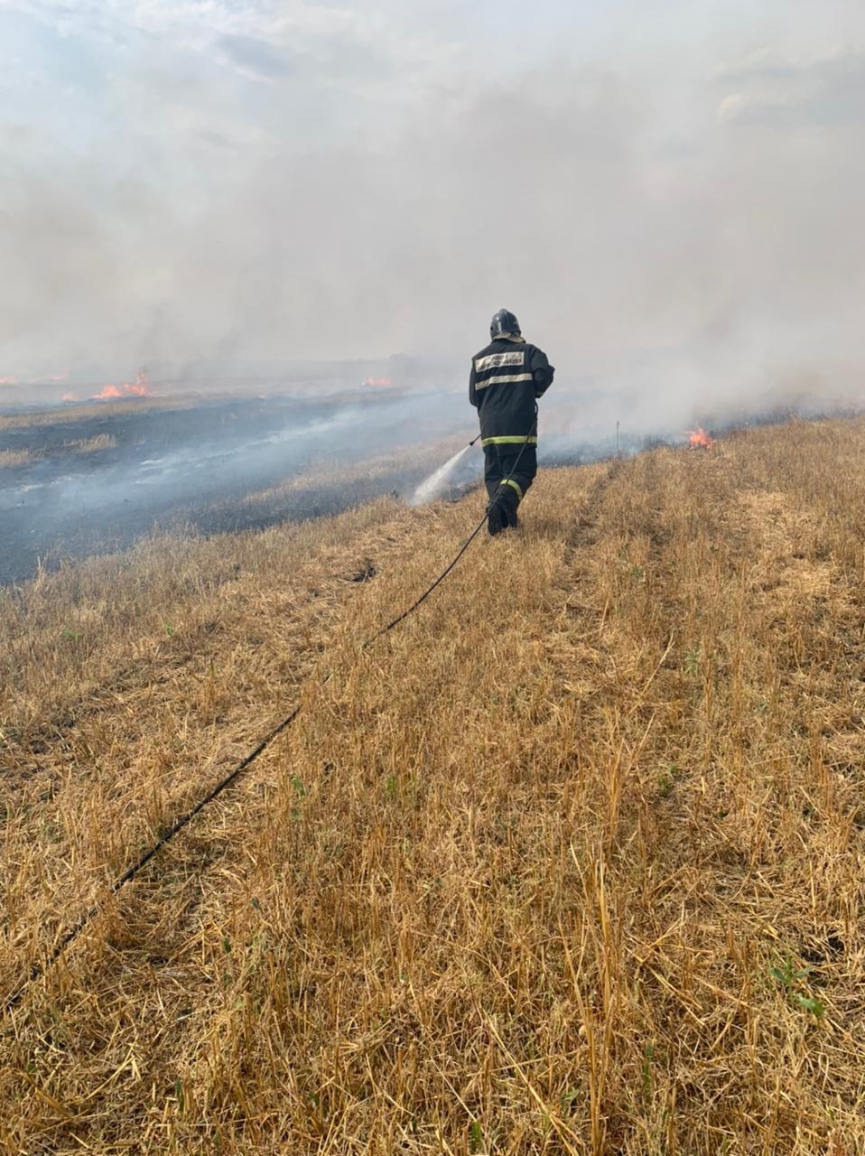 15 спасателей тушили загоревшуюся траву в Каменском районе 