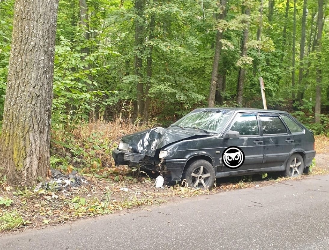 Пензенцы нашли в лесополосе разбитую машину без водителя