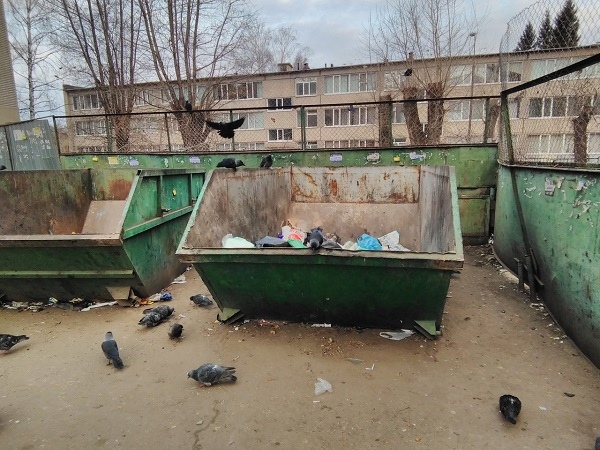 Пензенской области выделят деньги на закупку мусорных контейнеров