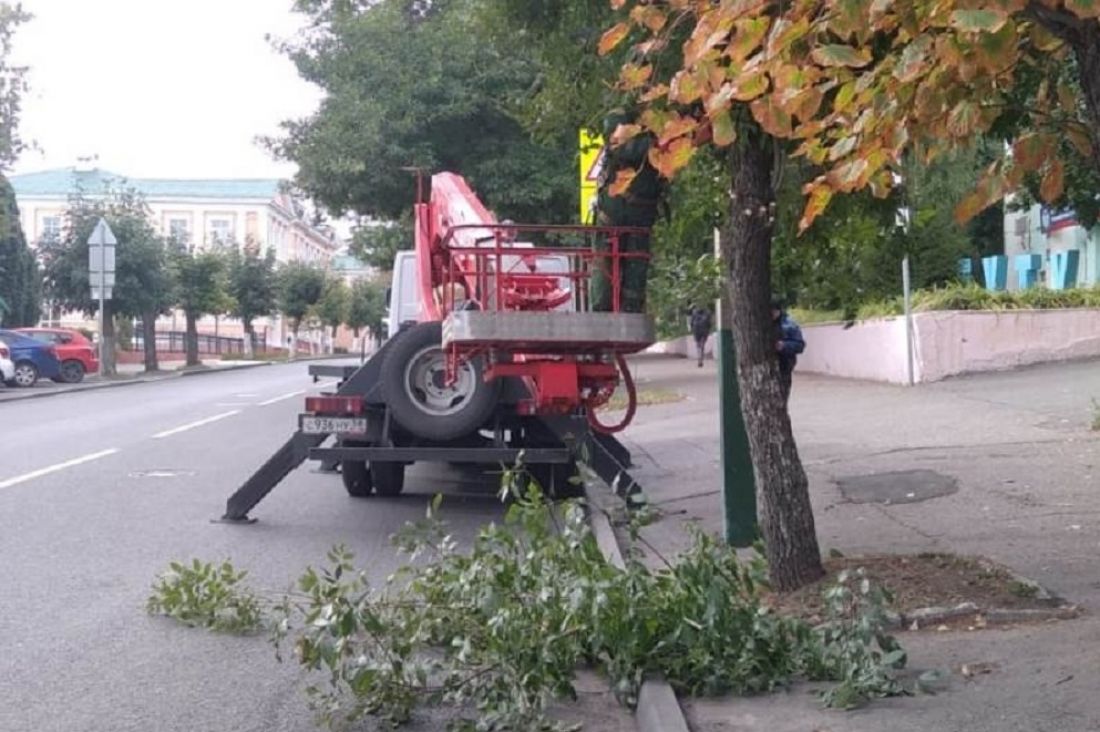 В Пензе опиливают деревья для улучшения видимости дорожных знаков
