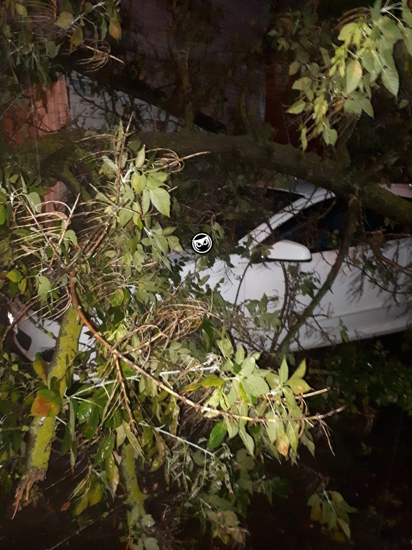 В Пензе на Пушанина припаркованное авто придавило деревом