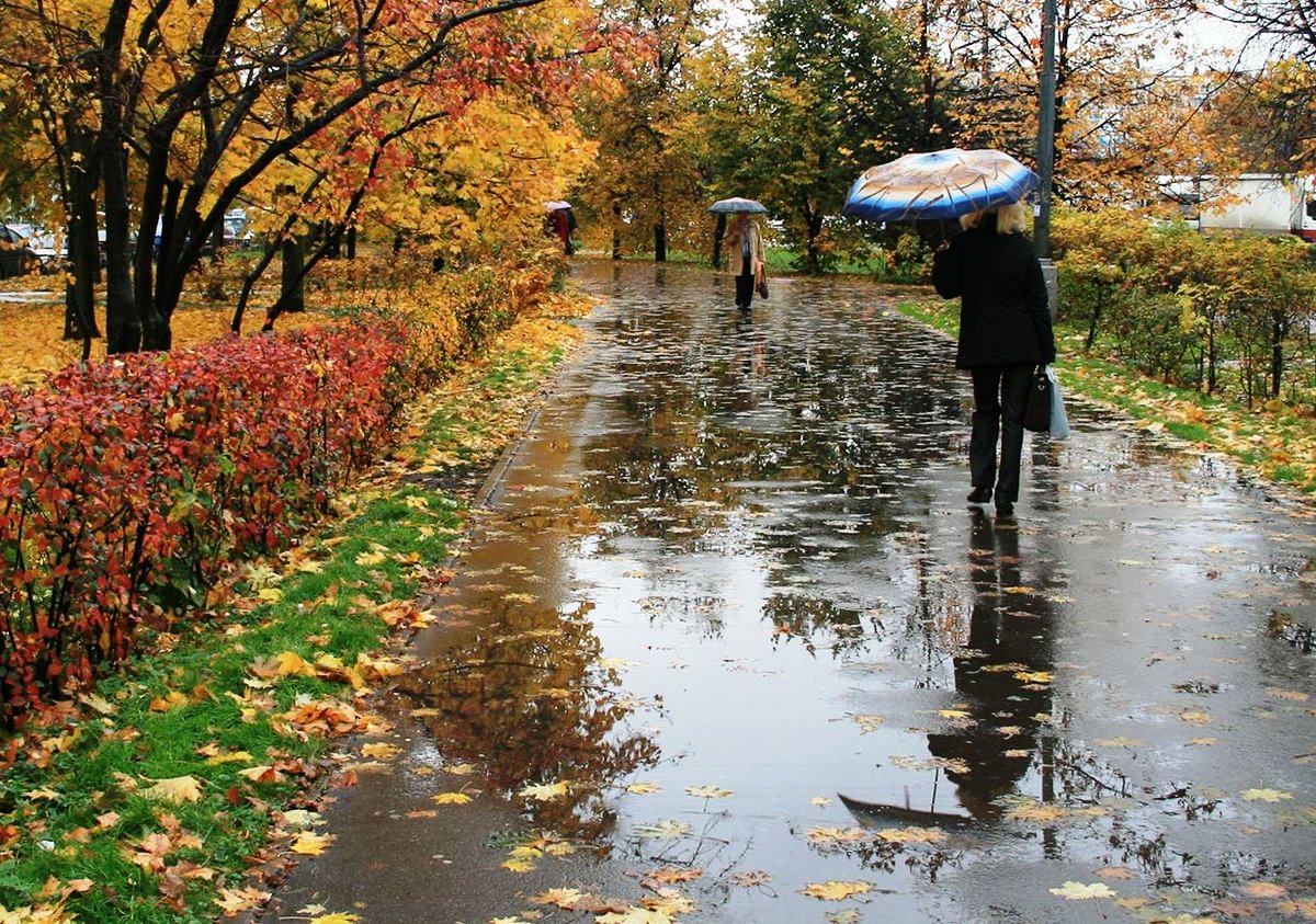 В Пензенской области 22 сентября ожидается дождь и +19