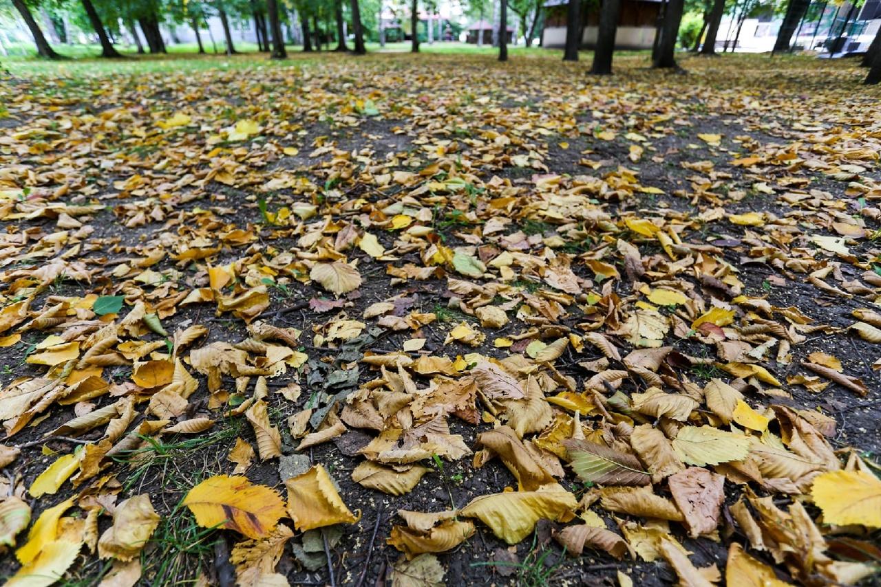 Температурные качели: синоптики сообщили прогноз погоды в Пензенской области