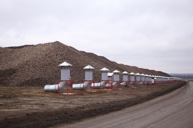 В Пензенской области выработали первые 100 тыс. тонн сахара из свеклы