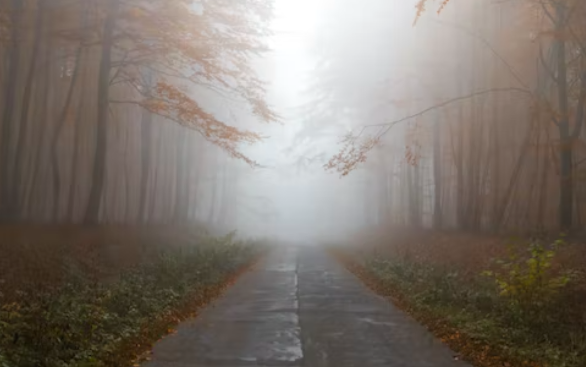 Синоптики предупредили жителей Пензенской области о сильном тумане