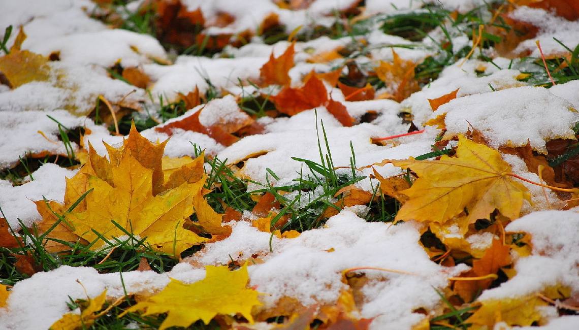 В Пензенской области 5 ноября ожидается густой туман, мокрый снег и +5