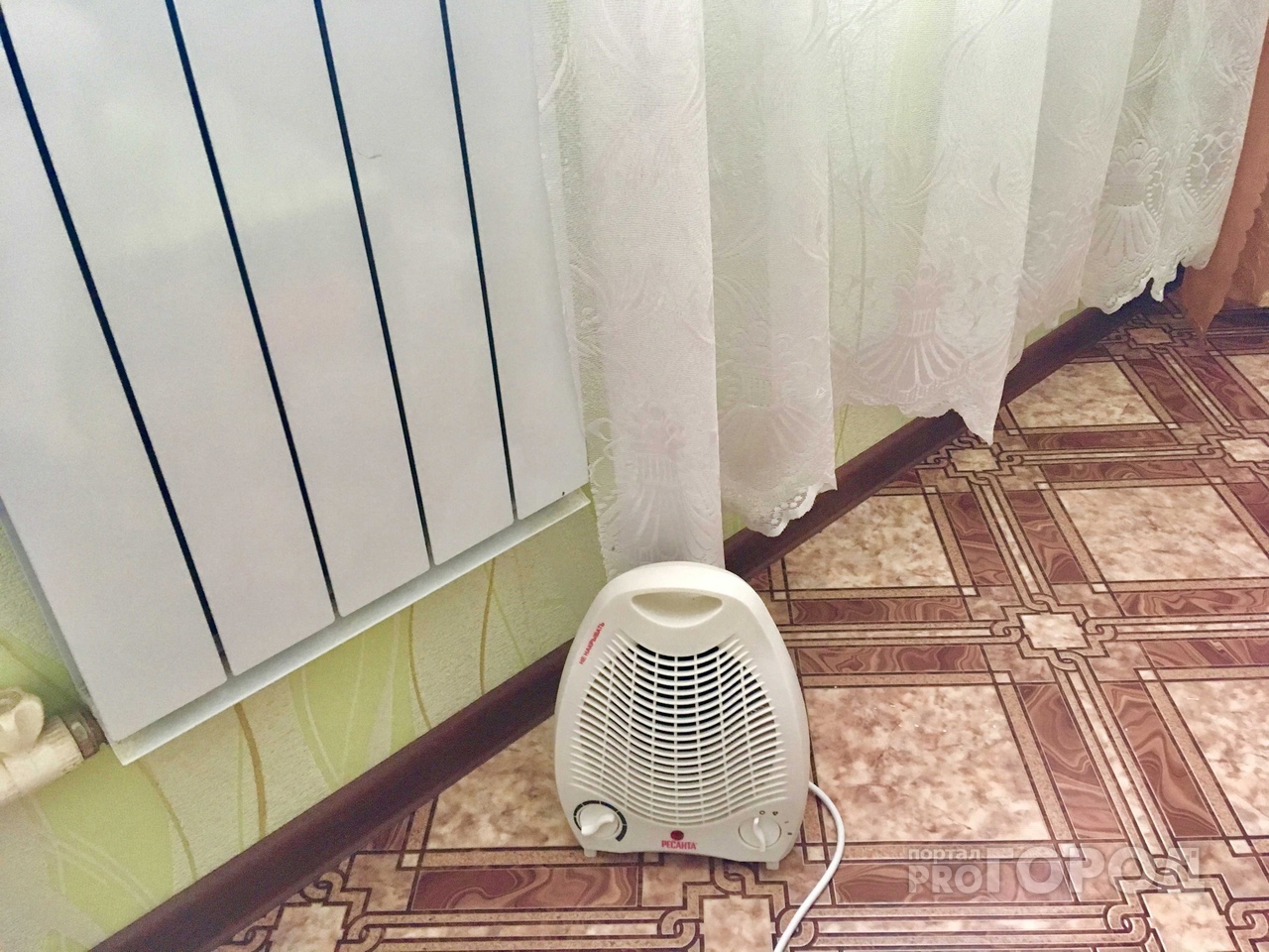 Собачий холод: в пензенском населенном пункте ЖКХ тотально экономит на отоплении
