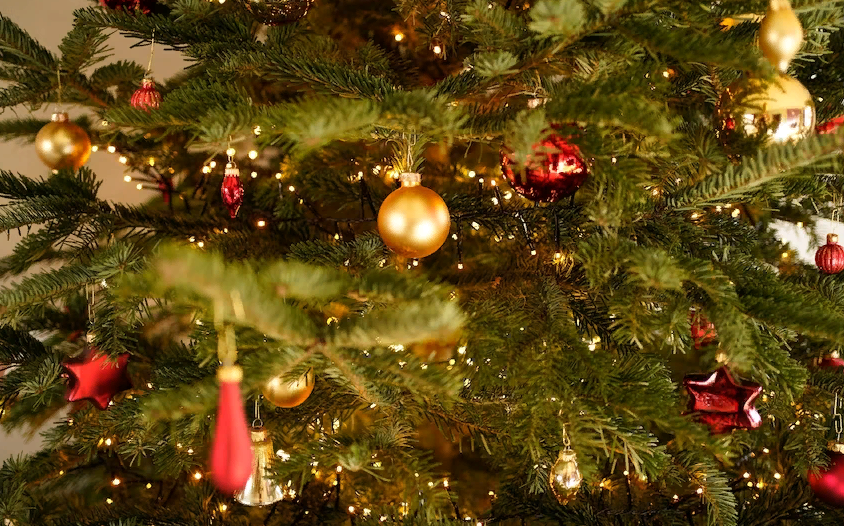 В Пензенской области детские новогодние елки пройдут в традиционном формате