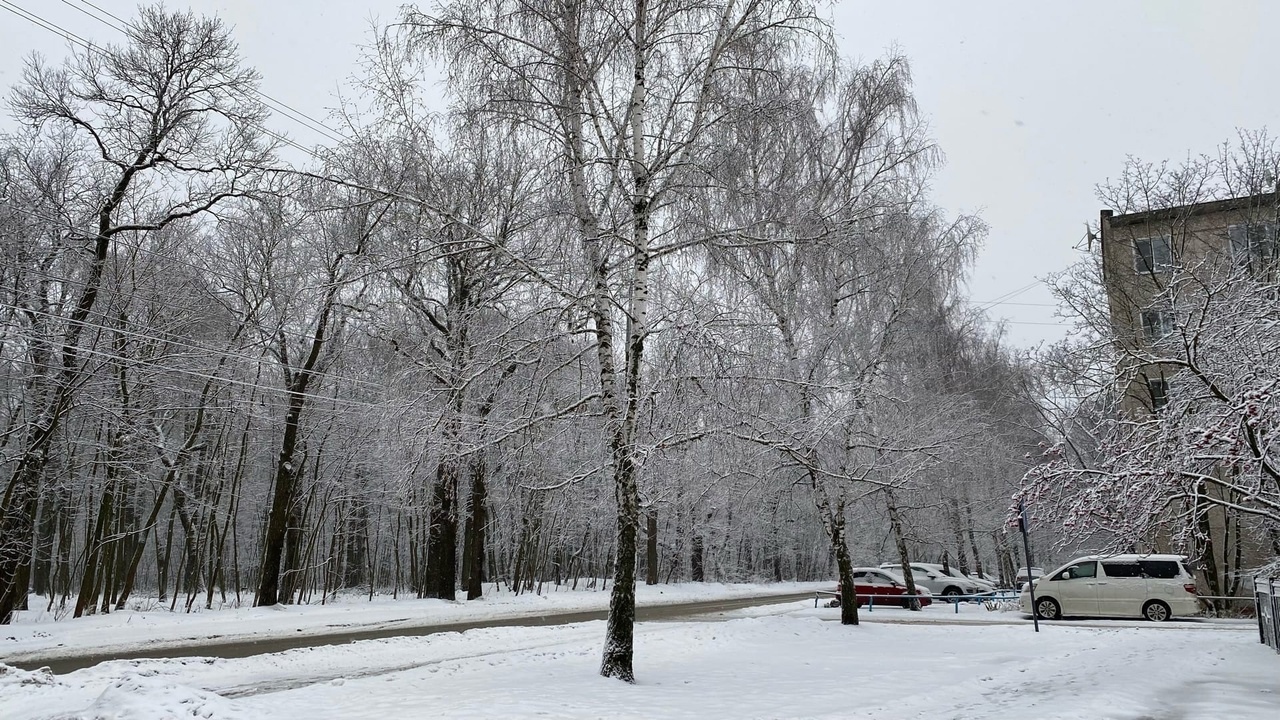 Во вторник в Пензенской области ожидаются снег и гололедица