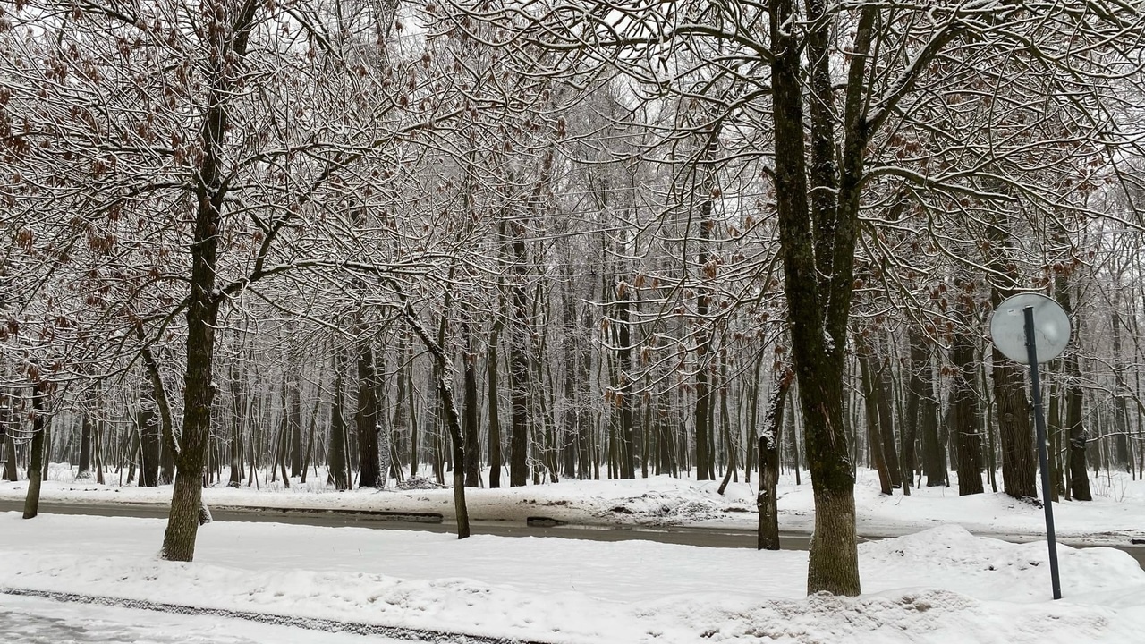 В Пензенской области 28 декабря ожидаются снег и ветер 