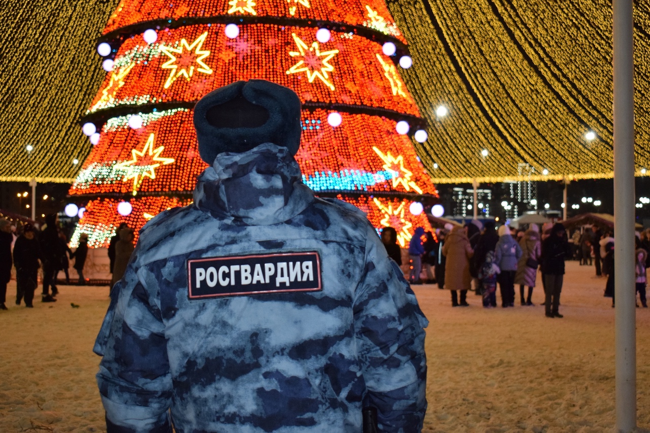 В новогоднюю ночь в Пензенской области будут дежурить более 200 сотрудников Росгвардии 