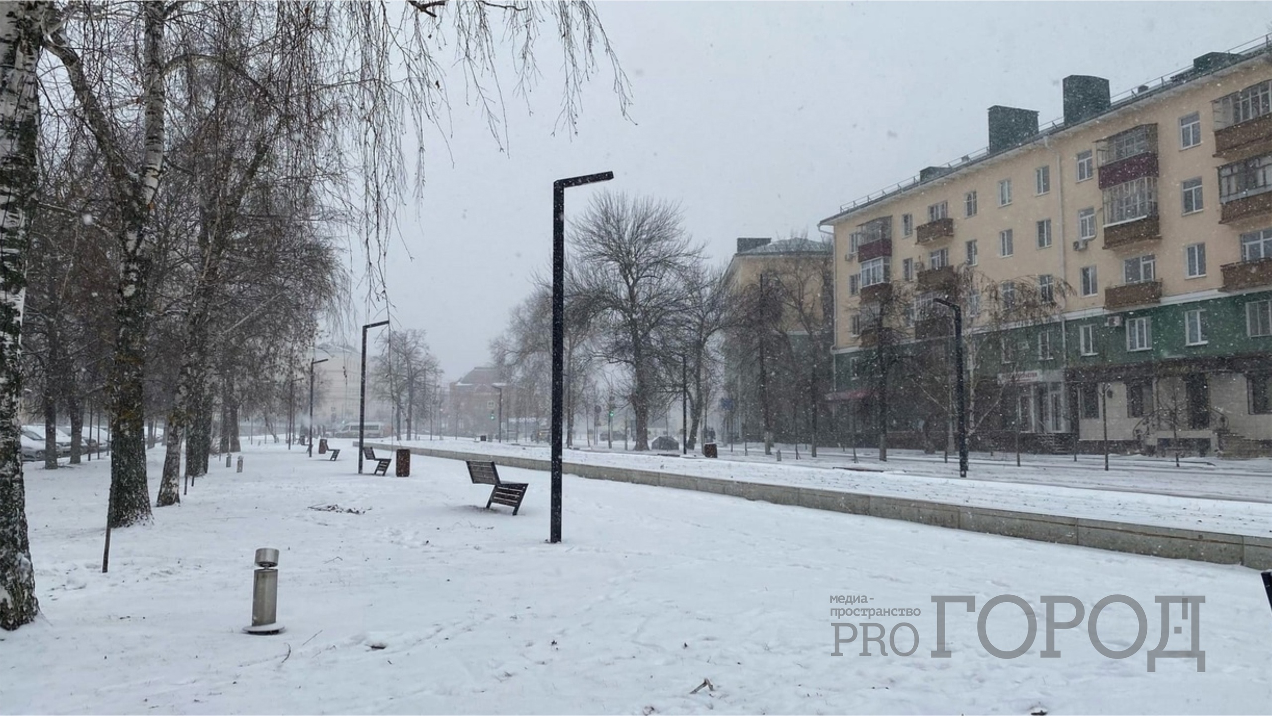 В Пензенской области из-за аномальных морозов ввели режим повышенной готовности