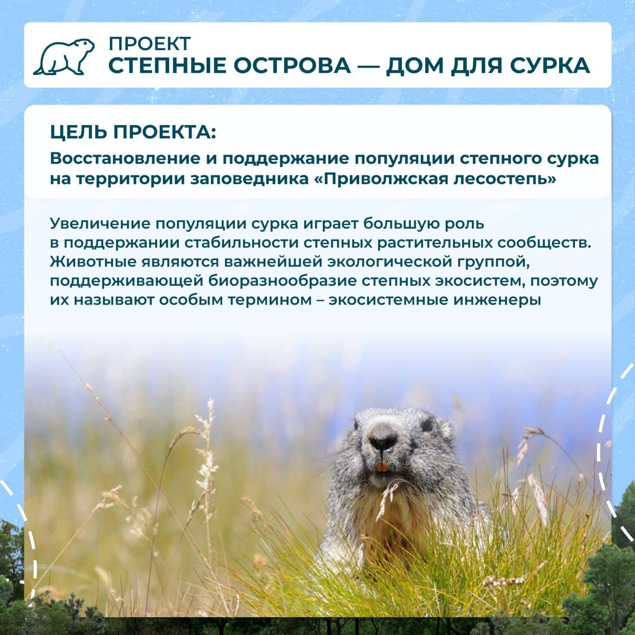 Олег Мельниченко отметил работу ученых по сохранению «Приволжской лесостепи»