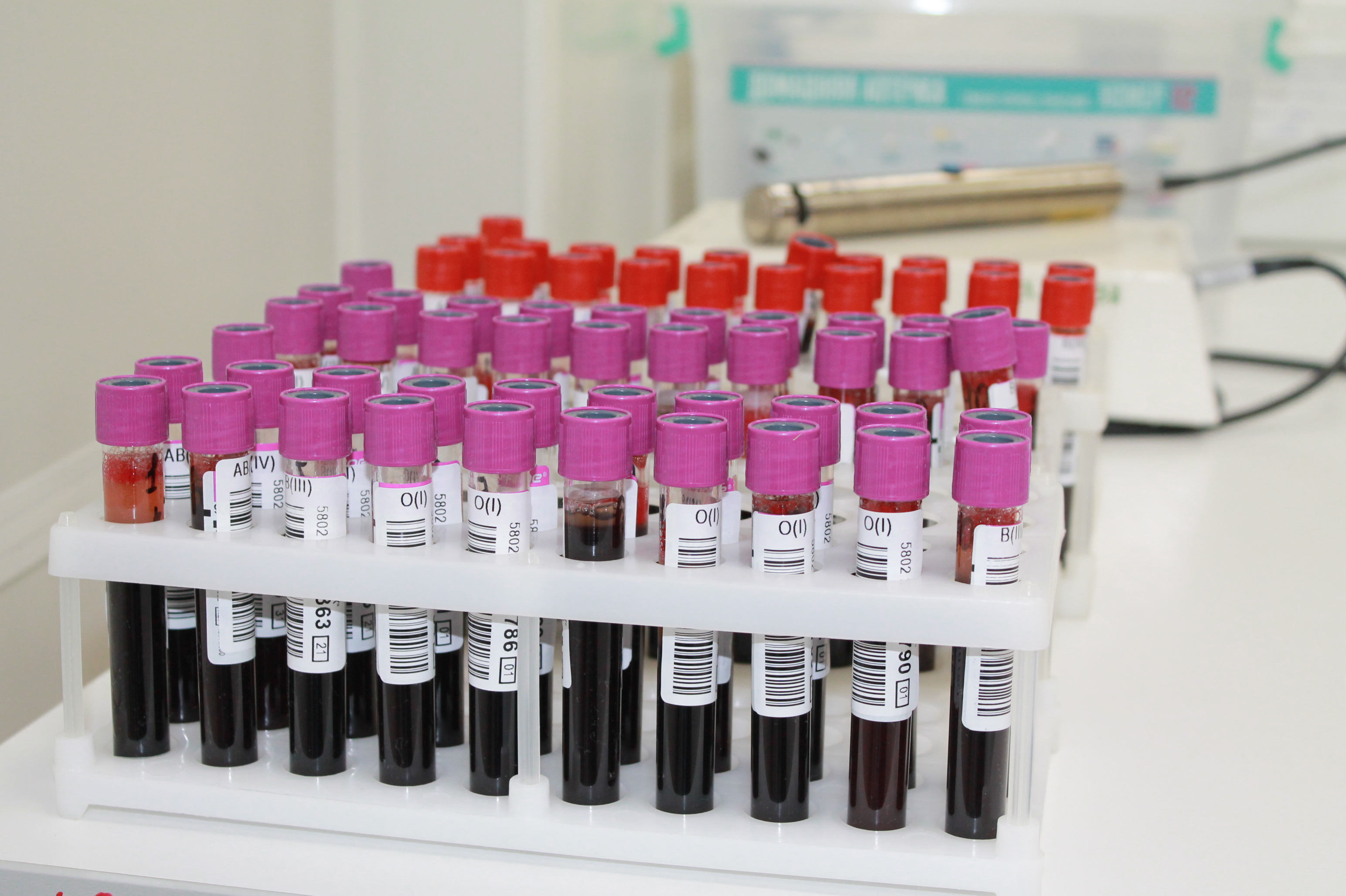 В Пензе за 2022 год заготовили более 17,5 тысяч литров донорской крови