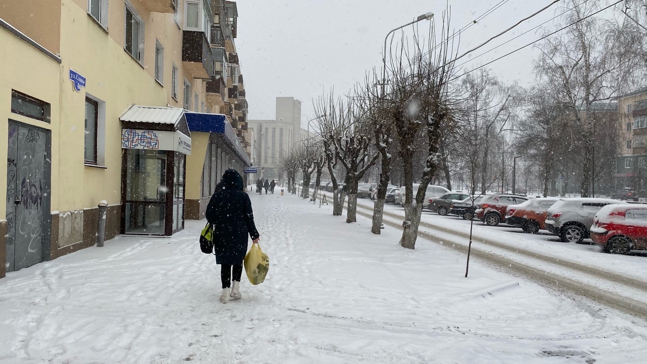 В последний январский день придет оттепель в Пензенской области 