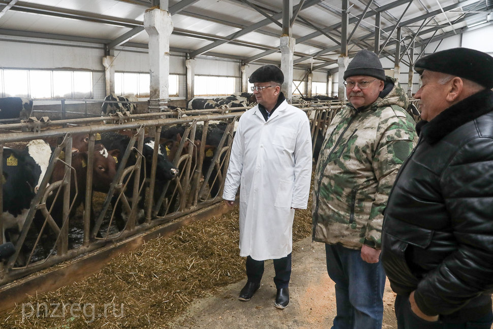 Олег Мельниченко посетил крупное сельхозпредприятие в Белинском районе
