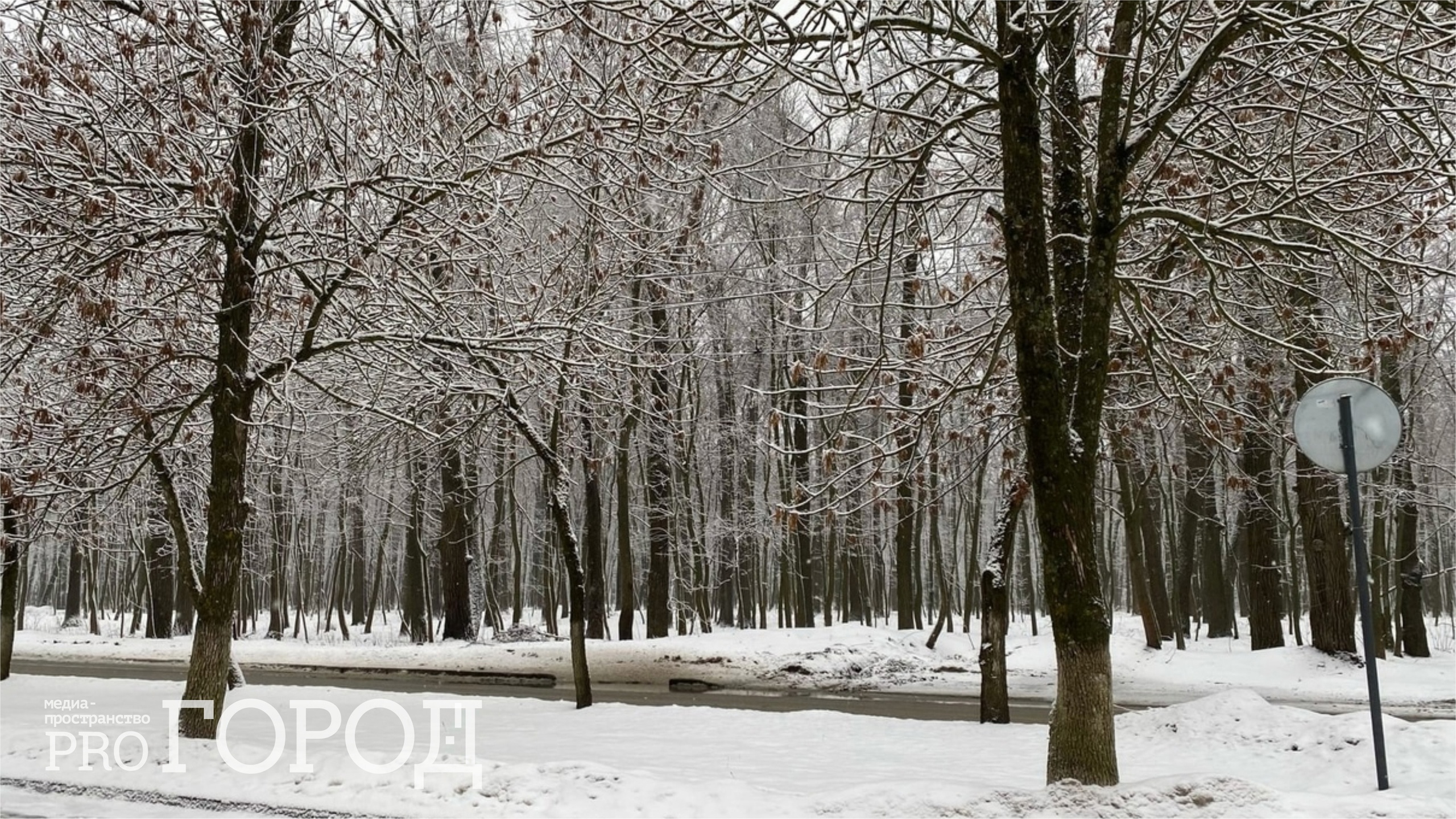 В субботу в Пензенской области пойдет мокрый снег и похолодает до -10