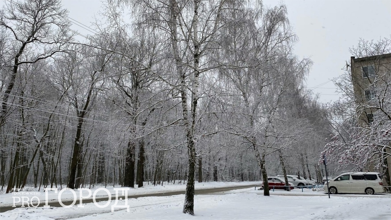 В Пензенской области в понедельник похолодает до -16 градусов
