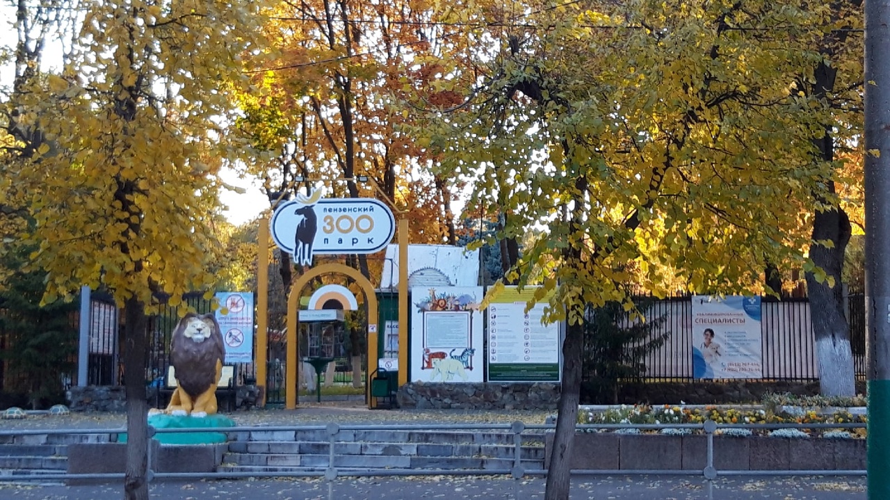 Пензенский зоопарк перешел на новый режим работы 