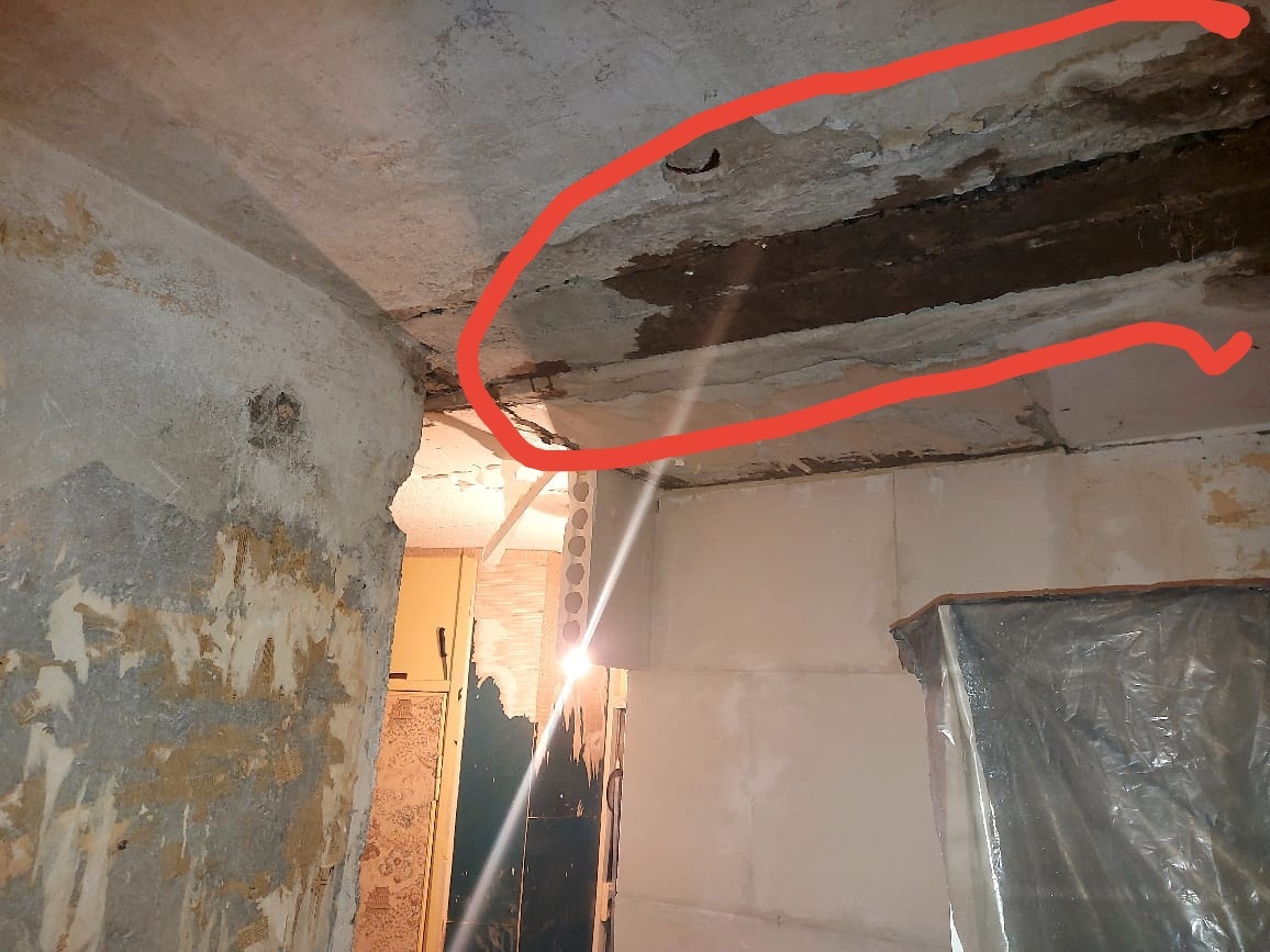 В Пензе в жилой квартире на Ульяновской из-за текущей крыши разросся грибок