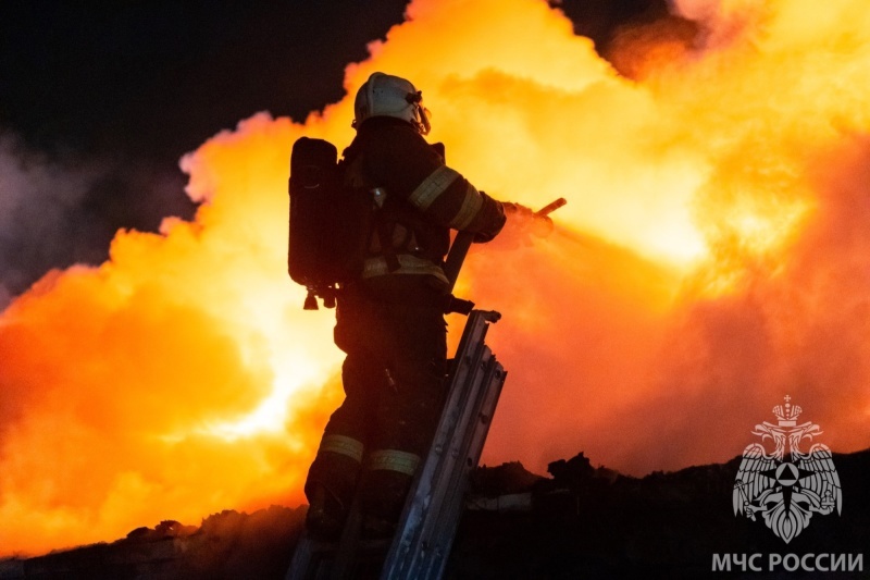 В пожаре в Бессоновском районе погиб 81-летний пенсионер