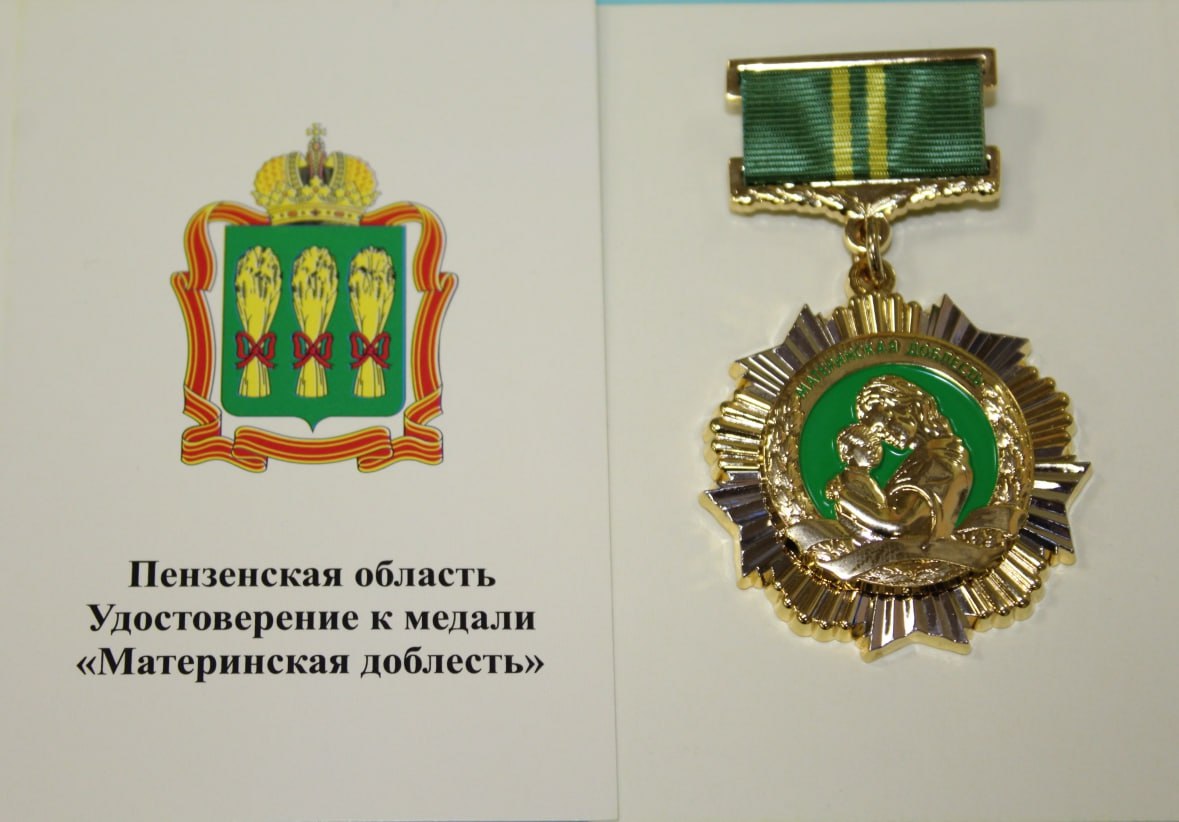 В Пензенской области наградили женщин медалями Материнская доблесть