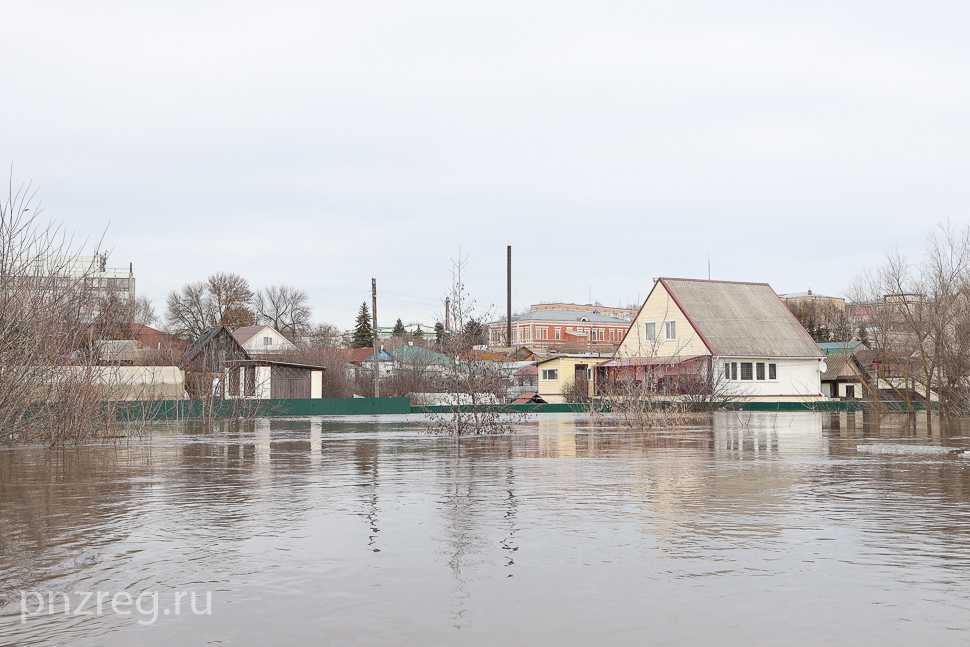 В Пензенской области во время паводка было подтоплено более 100 домов